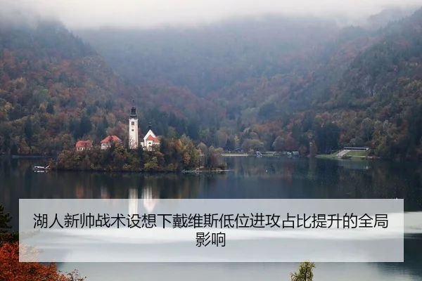 湖人新帅战术设想下戴维斯低位进攻占比提升的全局影响
